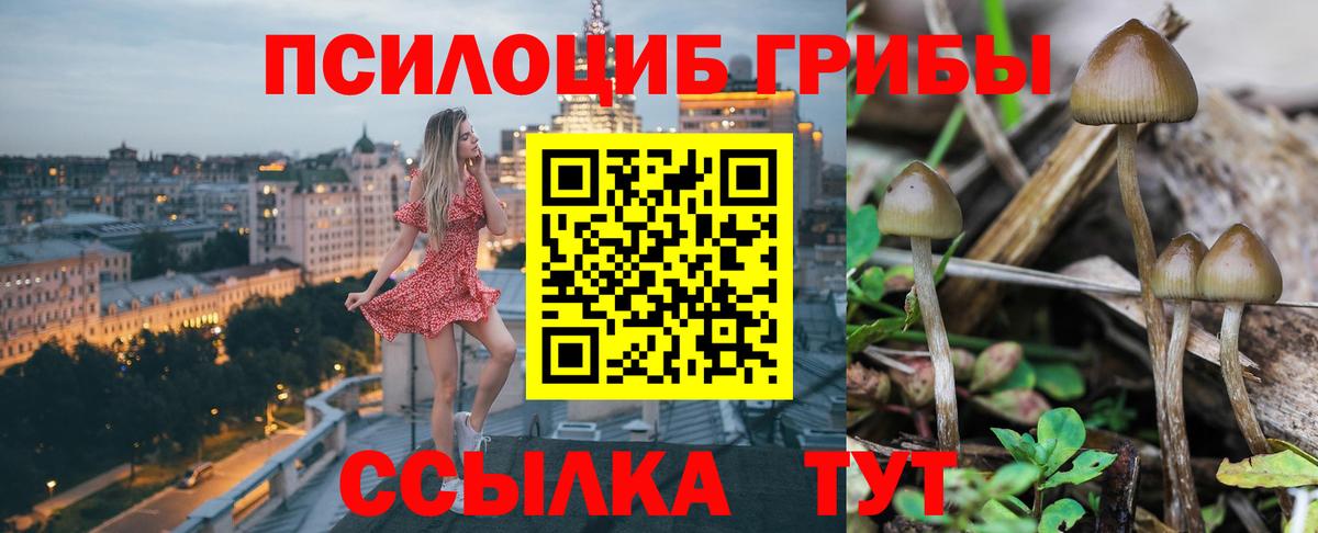Добрянка  Псилоцибиновые грибы Psilocybe  Вход с VPN 