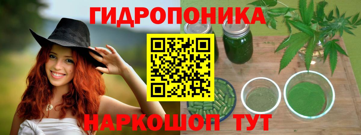 МАРИХУАНА гибрид Добрянка